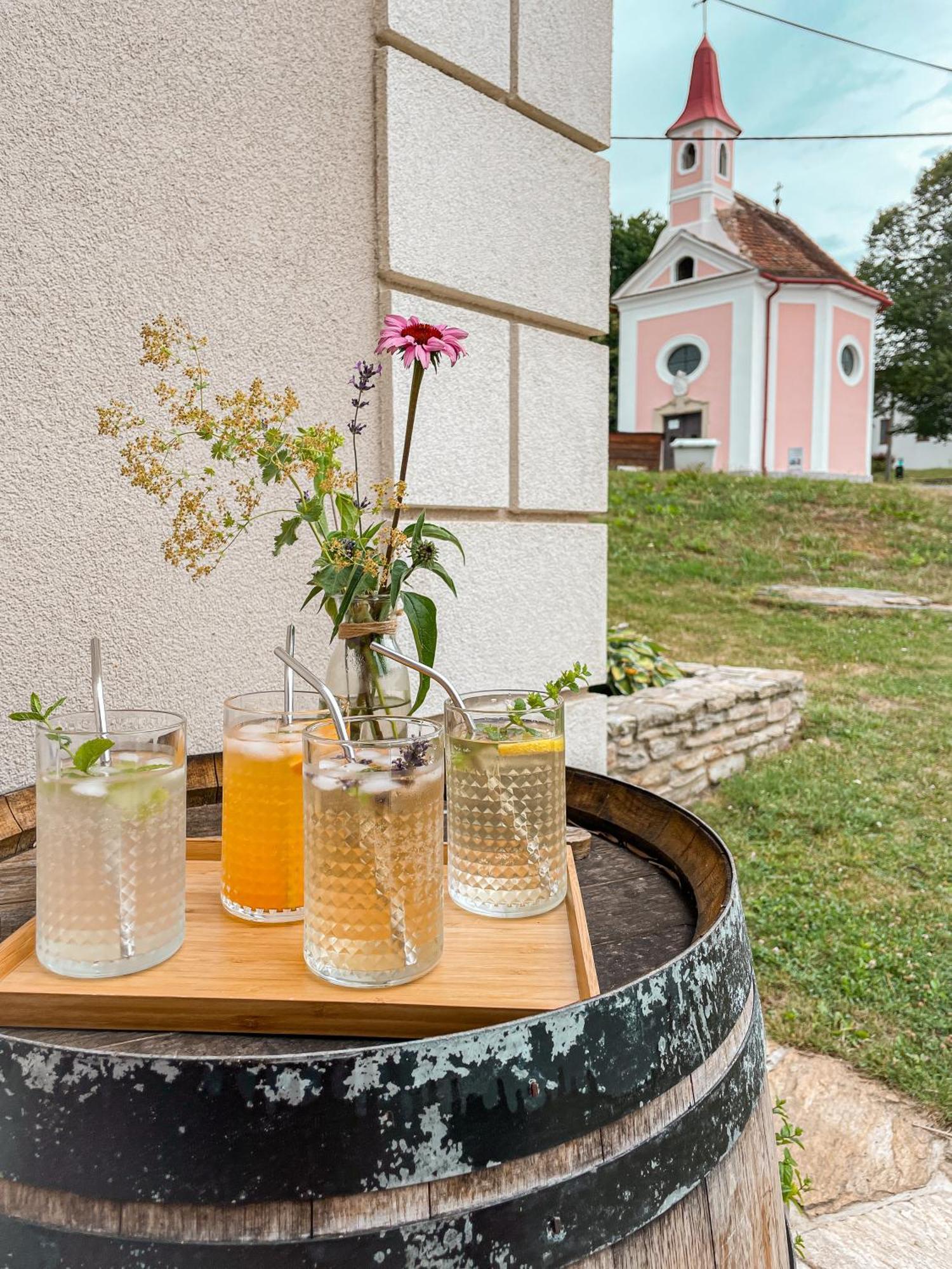 Penzion U Kaplicky Znojmo Buitenkant foto